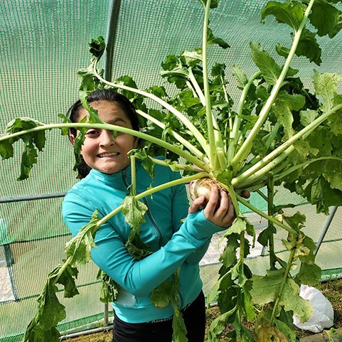  photo of a girl holding a vegetable